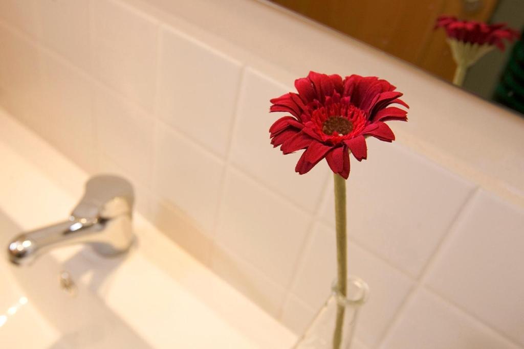 Apartaments Rural Montseny Gualba de Dalt Kültér fotó